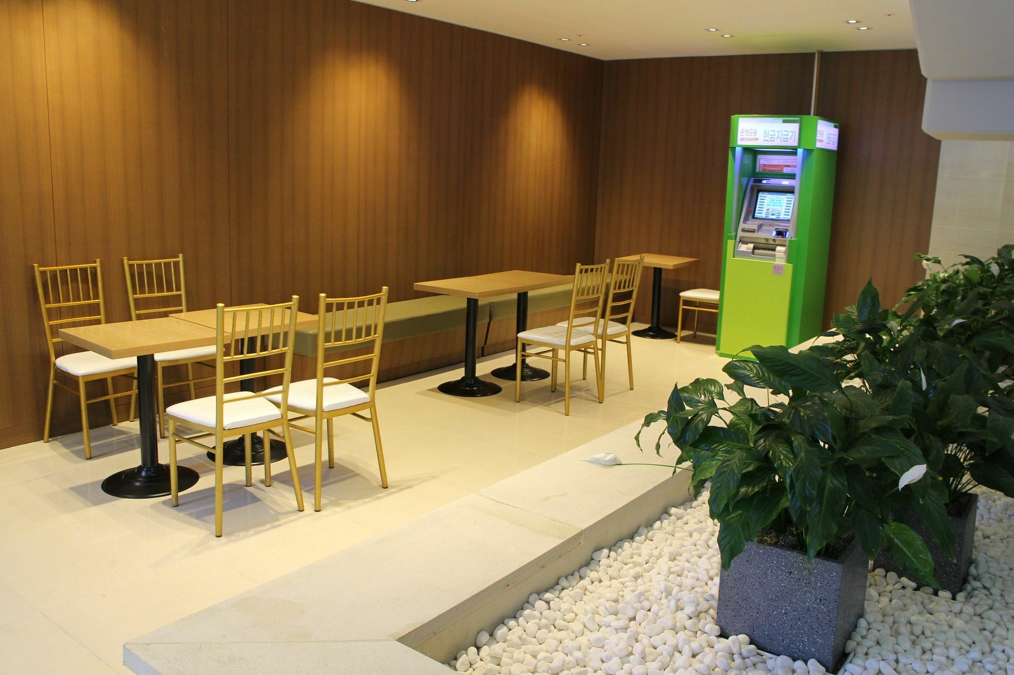 Golden Daisy Hotel Seogwipo Bagian luar foto